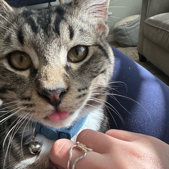 Meet your Posher, Anna - Picture 1 of 1